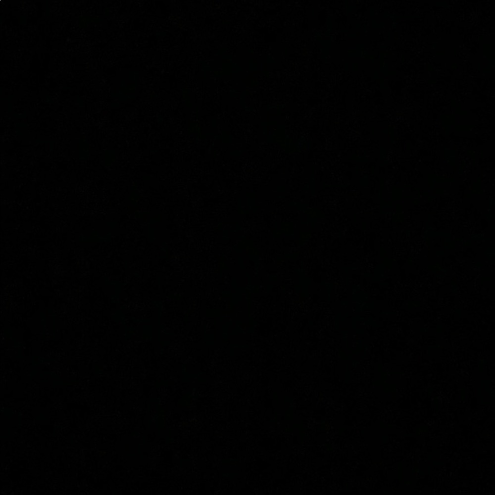 Meet your Posher, Lizzie